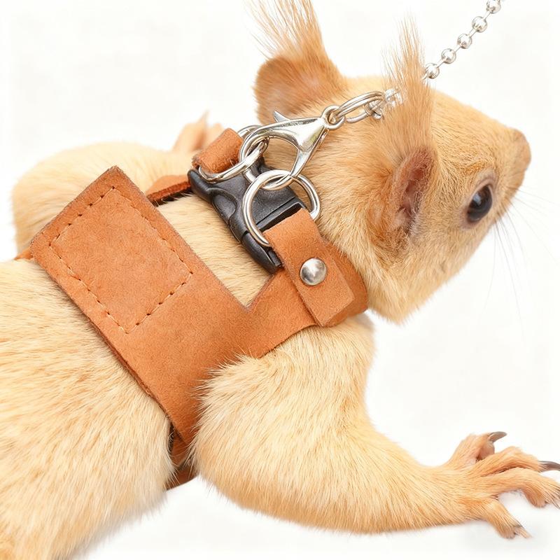 A three-piece set of three-piece anti-bite chest straps and anti-constricting straps for the two-piece vest squirrel leash