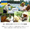 BeeWorks European Pure Honey 500g 0.5kg 100% Pure Honey Romania Ukraine