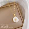 Stainless Steel Copper Micro-Inlaid Natural Stone Heart Fashion Light Luxury Elegant Electroplated Sporty Unisex Necklace