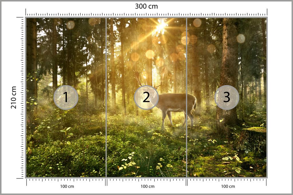 Photomural Deer In The Forest In The Morning Non-Woven 300x210