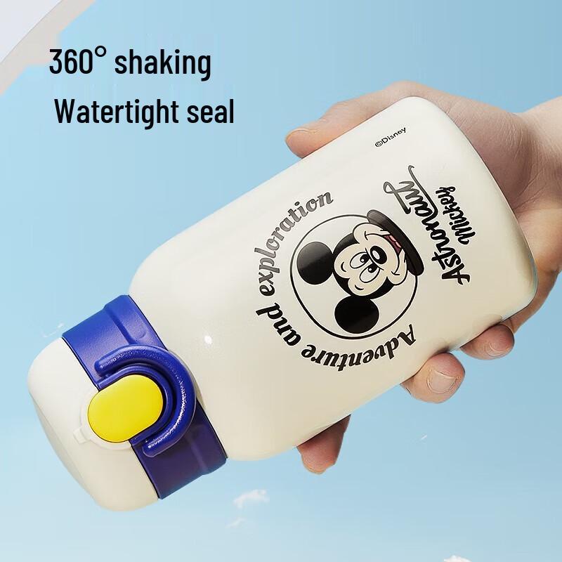 Disney 316 SS Kids Insulated Straw Bottle