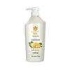 Fenghua Silicone-Free Ginger Hair Conditioner