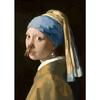 Funny Bathroom Toilet Decoration Painting Mona Lisa Wearing Pearls Girl with Roll Paper Canvas Prints Posters Home Wall Decor
