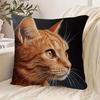 Niedlicher Tierprint Kissenbezug: 2D-Flachdruck, keine echte Stickerei, Nachtsofa Nachtsofa-Kissen