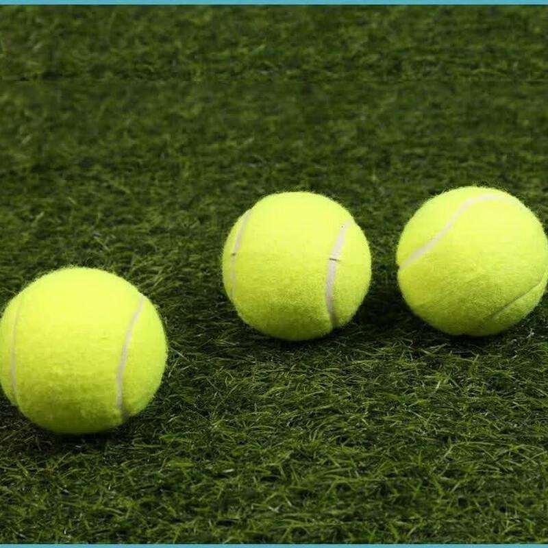 LISM Durable Training Tennis Balls