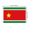 Suriname Flag 3x5ft 2x3ft, Large Polyester Banner with Brass Grommets for Indoor Outdoor Decor National Day Celebration, Events