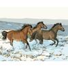 Frameless Digital Oil Painting for Entrance Hall - 40x50 Pigment Kit.