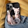 Sphynx Sphinx Cat Soft Phone Case for iPhone 17 Air 16e Pro max 15 Pro 13 14 Plus 11 12 MagSafe Magnetic Coque