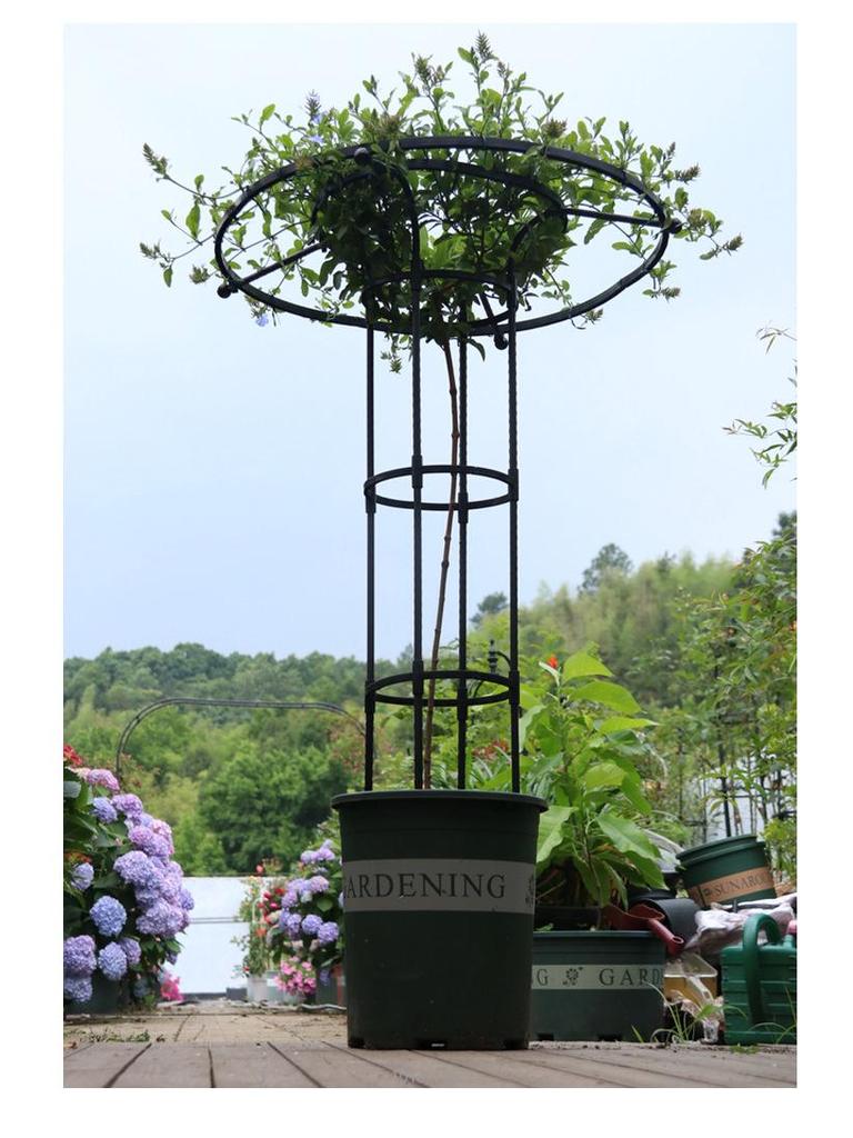 Mushroom-Head Flower Stand & Climbing Rose Support - Durable Plant Stand for Clematis and Roses