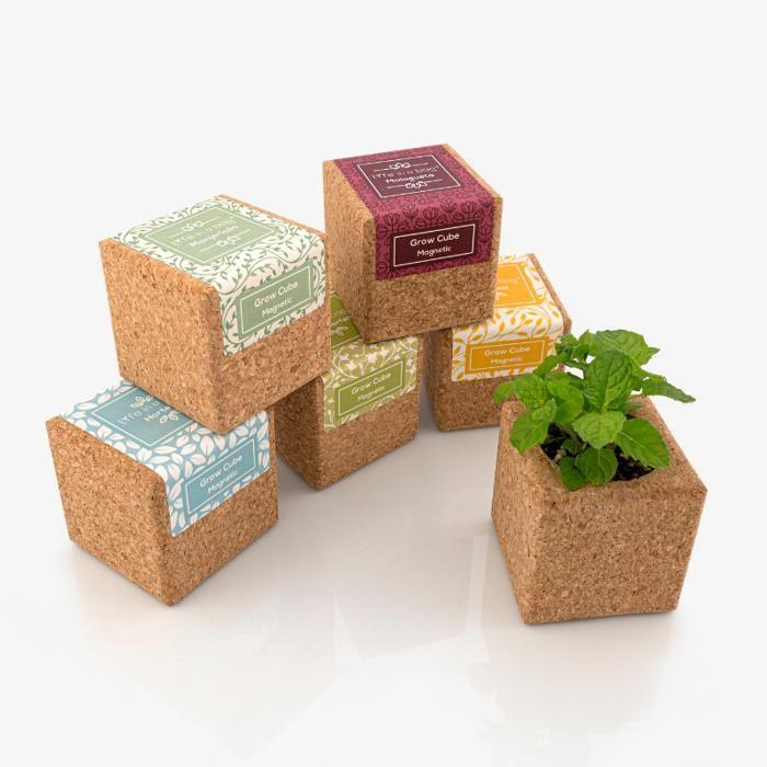Grow Cube aimanté Coriandre