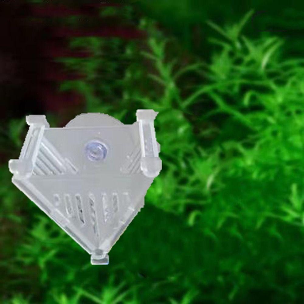 Acrylic Red Blood Worm Fish Feeder Clear Hanging Water Planting Cylinder Cup Mini with Suction Cup Red Worms Plant Cup