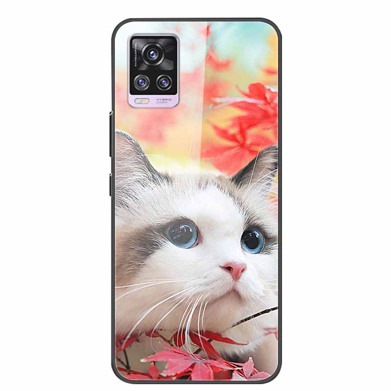For Vivo V20 Pro Phone Case V 20 Pro Soft Bumper Tempered Glass Hard Back Covers Cases For Vivo V20 Pro Case 6.44" Coque Fundas