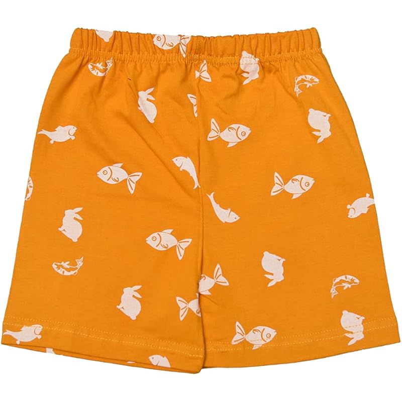 

T2F Girl s Shorts (GLS-SHRTS-02_Multicolor 1_5-6 Years) 5-6 Y