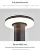 Solar Waterproof Garden Lights - Ground Inserted, Outdoor Courtyard Atmosphere, 24V/220V