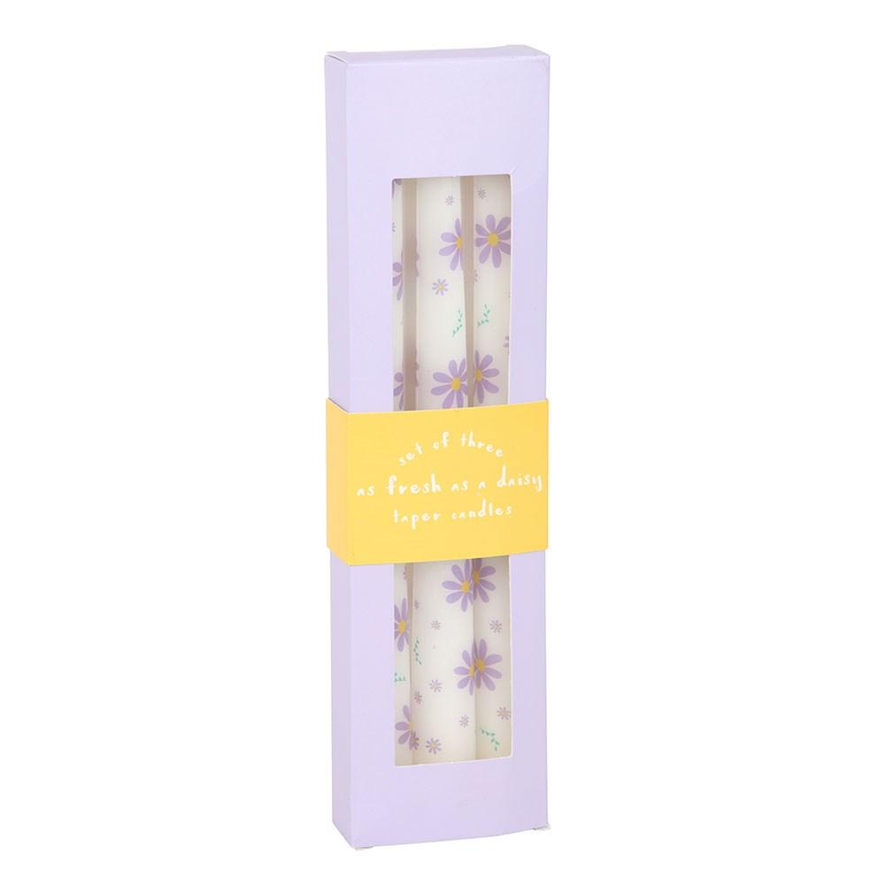 Something Different Daisy Taper Candle (Pack of 3)