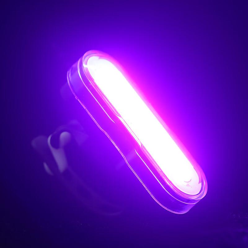 Lishi USB Rechargeable Bicycle Safety Taillights (2-Pack)