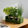 Ventilated Chives Seedling Tray Lettuce Soilless Cultivation Pot Water Cultivation Box  Hydroponic