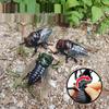 Creative Wind-Up Cicada: Children's Crawling Beetle Toy