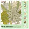 Handmade Pressed Flower Bookmark and Epoxy Sticker Pack with Real Leaf and Plant Specimens for DIY Face Makeup.
