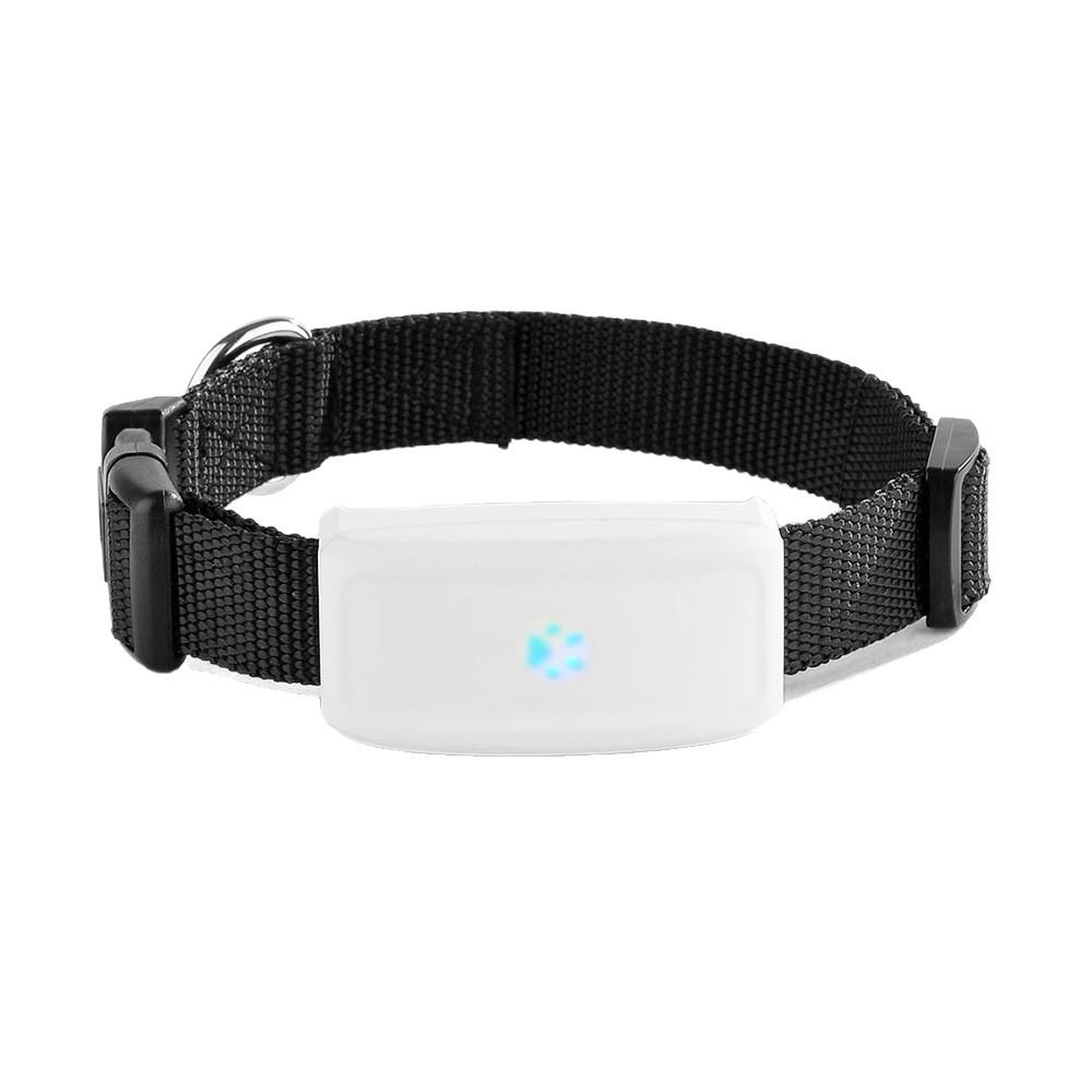 TK911 Pet GPS Tracker: WiFi, GPS & LBS Positioning with Charging Attachment for Cats/Dogs
