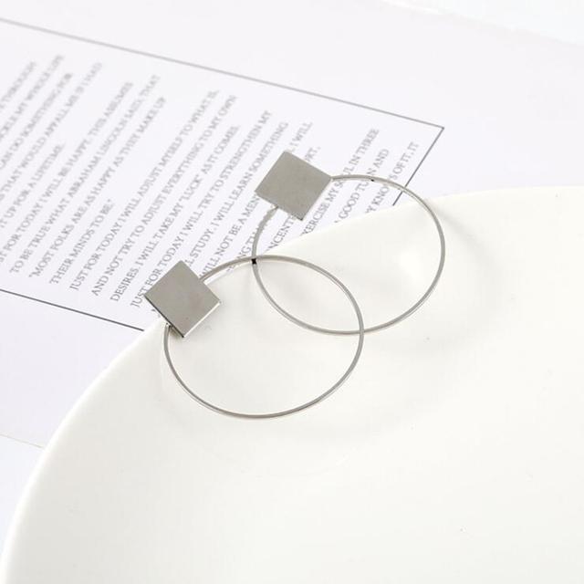 Metal Tassel Earrings for Women Long Circle Dangle Earrings Geometric Round Drop Earrings Brief Jewelry pendientes
