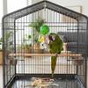 Parrot Chew Toy with Acrylic Spinning Ball_Chain Bird Cage Hanging Toy with Hook for Small Medium Birds