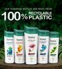 Himalaya Anti-Dandruff Tea Tree Shampoo 180ml For Men And Women Removes Dandruff Soothes Scalp Nourishes Hair Gentle Cleansing Formula