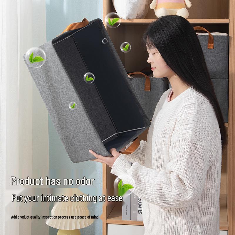 Foldable Steel Frame Clothes & Underwear Organizer Box