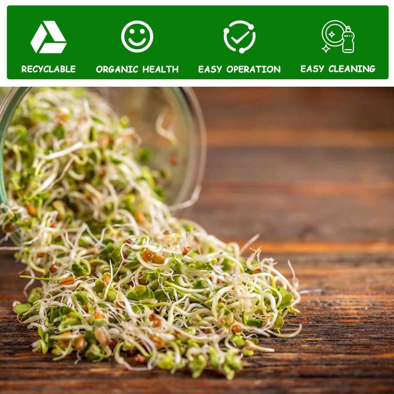 Seed Sprouting Jar Kit Wide Mouth Durable Glass Sprout Grower with Stainless Steel Screen for Easy Filling and Rinsing at Home