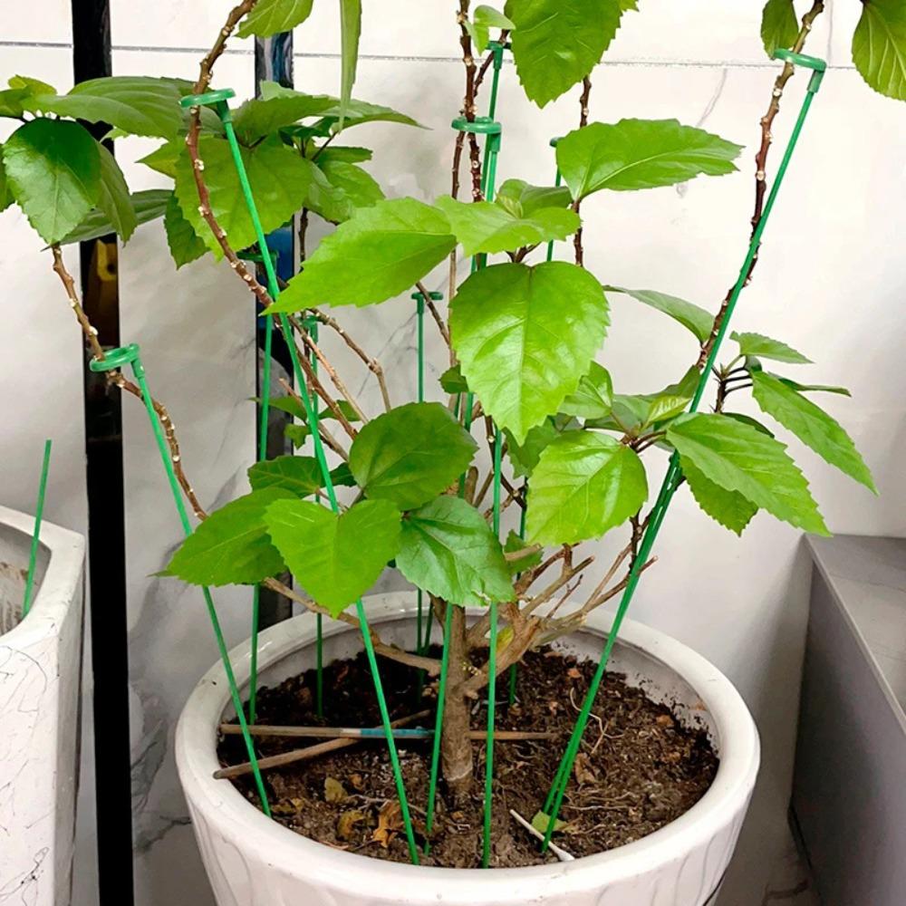 10 STÜCKE Wiederverwendbare Schmetterlinge Orchidee Topfpflanzen Fixierstangen Kunststoffe Blumenhalter Stange Für Innen Außen