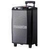 Malata M+9017C 12-inch Outdoor Portable Bluetooth Trolley Speaker (CN Version)