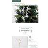 5PCS Creative Christmas Tree Ornament Angel Elves Pendant Plastic Christmas Gifts Pendant Pendant New Year Christmas Decorations