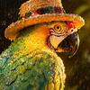 Unique Patio Statues Resin Solar Parrot Garden Light Ground Stake Waterproof Outdoor Stake Tropical Cute Animal Lights Yard Decor for Lawn