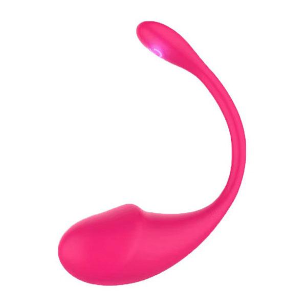 Vibrator aplicație Jucării sexuale pentru femei Fairykiss Stimularea clitorisului vaginal feminin Masaj punct G Masturbare feminină Jucărie pentru adulți