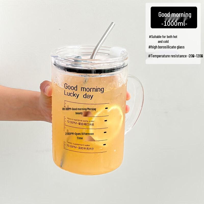 ZISIZ Large Capacity Glass Water Bottle