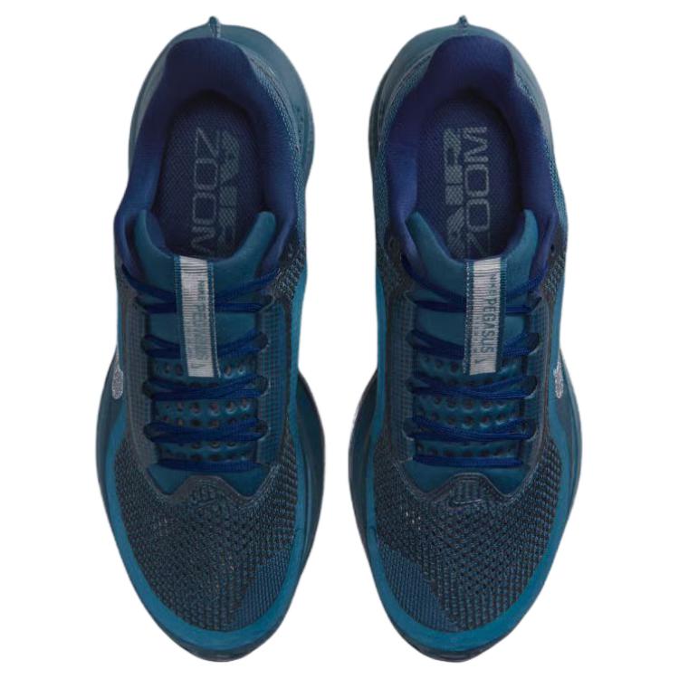 Nike Air Zoom Pegasus Premium Blue Force Women Sneakers Blue-Void-Metallic-Silver-Blue-Void IM7384-499