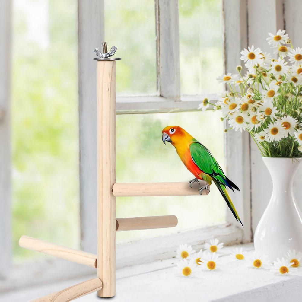 Wooden Bird Cage Stand Parrot Perch Training Stands or Parakeets Lovebirds Cockatiels Resting Rack