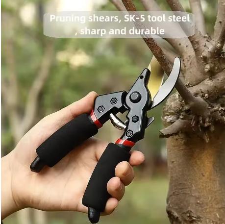 Gardening Scissors SK5 Fruit Tree Pruning Coarse Branches Pruning Scissors Flower Arrangement Pruning Fruit Picking Scissors