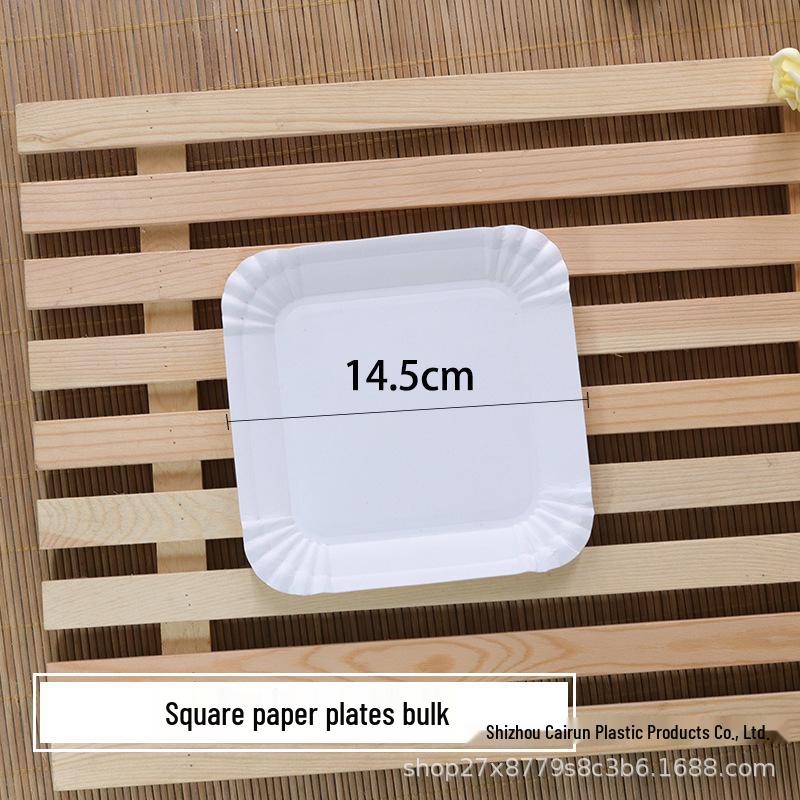 Eco-Friendly Disposable Bagasse Paper Plates for BBQ, Camping, Picnics, Birthdays, and Events