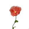 3D Floral Arrangement with Height of 1.7M for Home Ceremonies And Parties