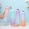 Gradient Frosted 750ml Sports Water Bottle with Straw