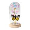Valentines Day Gift Led Light Foil Galaxy Infinity Rose Glass Dome 24k Gold Rose Butterfly Factory Price Long Lasting 3-5 Years