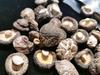 Yunnan Specialty Dried Shiitake Mushrooms, Four Seasons Premium Choice, 250g.