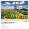 Yanoman [Made in Japan] 108-Piece Jigsaw Puzzle, Large Pieces, Japanese Landscape: Dutch Windmills and Sunflowers, Chiba (26x38cm), 01-2082, Includes