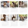 Calendar 2026 Găuri Anale de Pisică 2026 Pisică Amuzantă Calendar de Perete Lunar 12 Luni Ianuarie până în Decembrie Fotografie Pisică de Înaltă Definiție