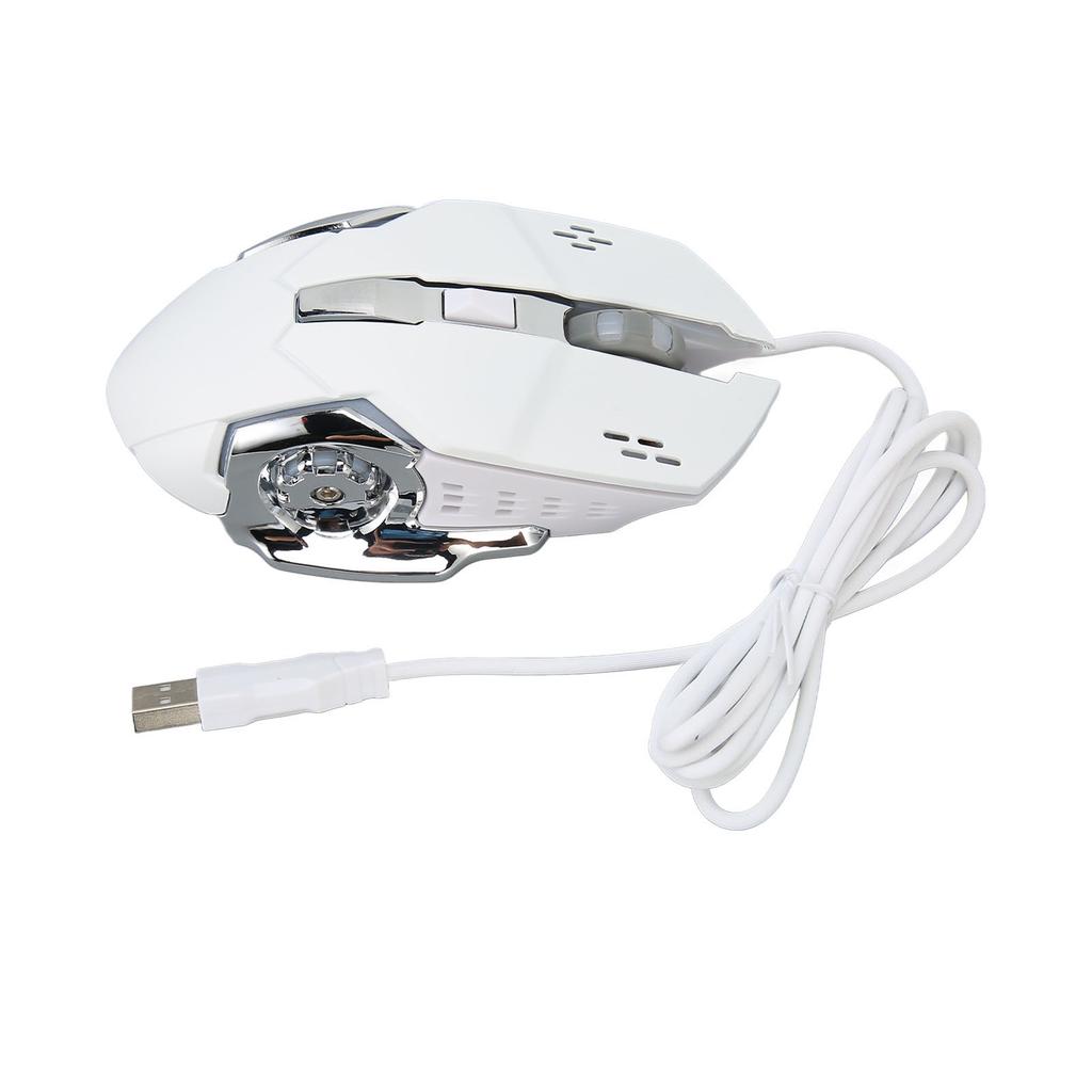 Wired Gaming Mouse with RGB Backlit 4 Adjustable DPI Up To 3600 Ergonomic USB Optical Computer Mice with 6 Buttons