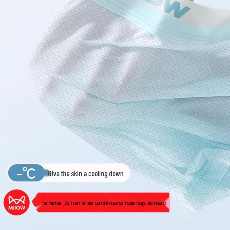 Maoren Boys' Ice Silk Boxer Briefs