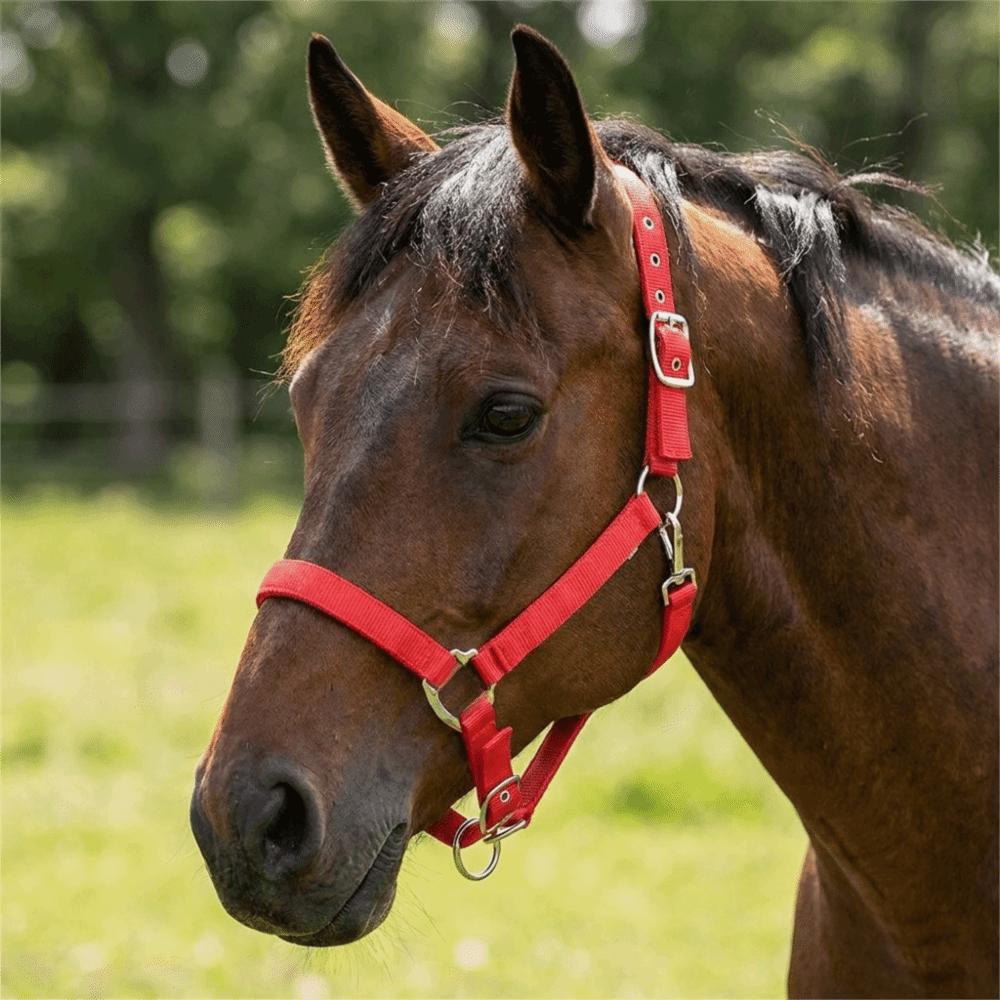 Nylon Horse Halter Adjustable Horse Training Rope Professional Equestrian Bridle Outdoor Riding