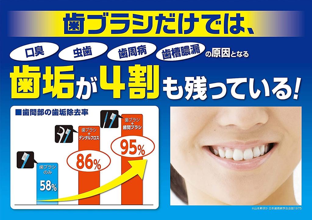 Kobayashi Pharmaceutical Dental Floss, Easy-to-Use Type, Value Pack of 60 Floss X 3