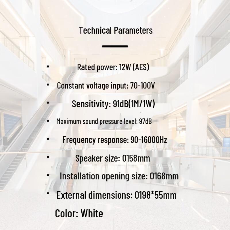TAKSTAR MG-612C 6-inch 12W Ceiling Speaker CN plug (adapter included)